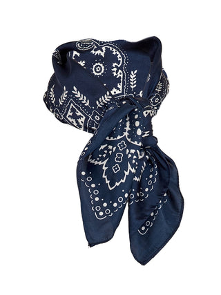 Peppercorn - Polette scarf - sky captain print