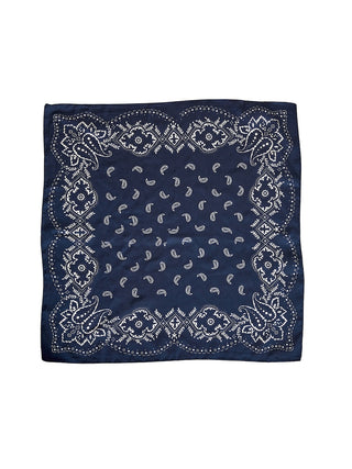 Peppercorn - Polette scarf - sky captain print